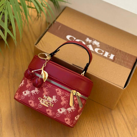 Coach Chained Vanity Bag with an extra cherry chains