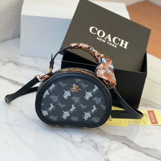 Coach Luxurious HandBag