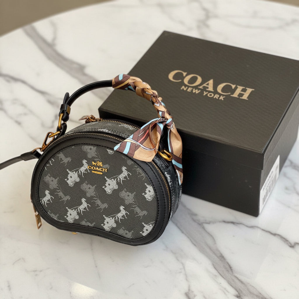 Coach Luxurious HandBag