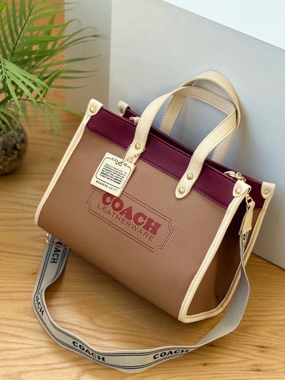 The Coach Colorblock Tote Bag