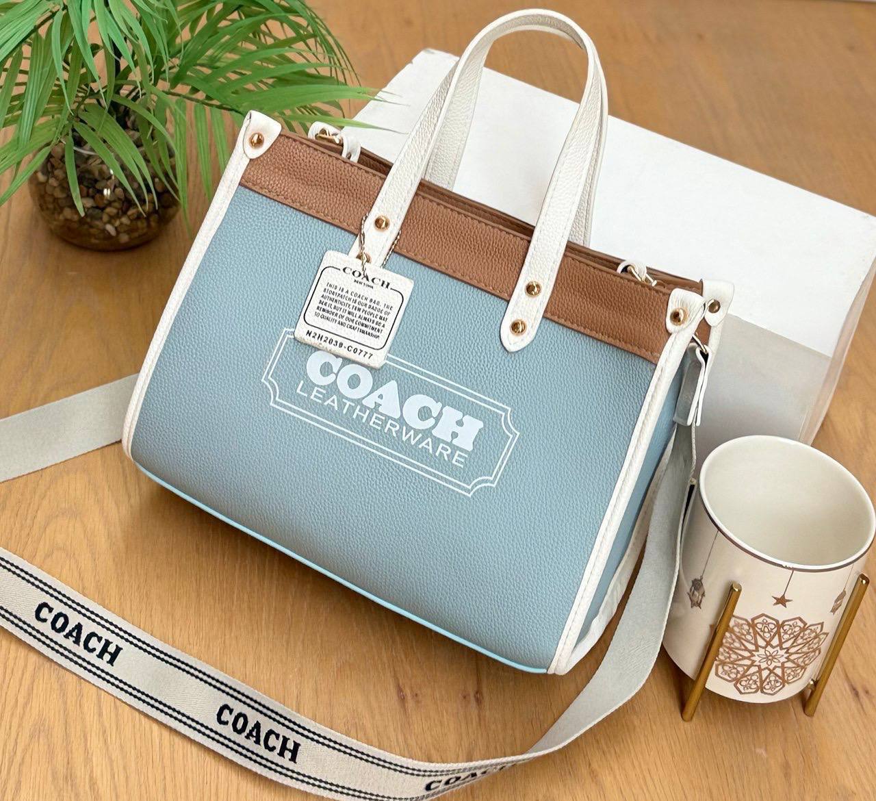 The Coach Colorblock Tote Bag