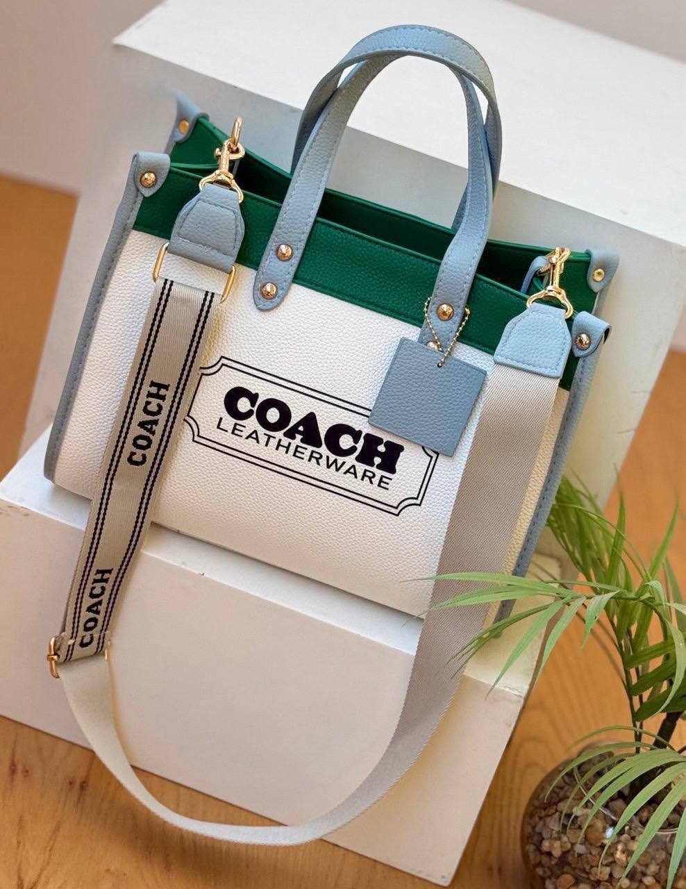 The Coach Colorblock Tote Bag