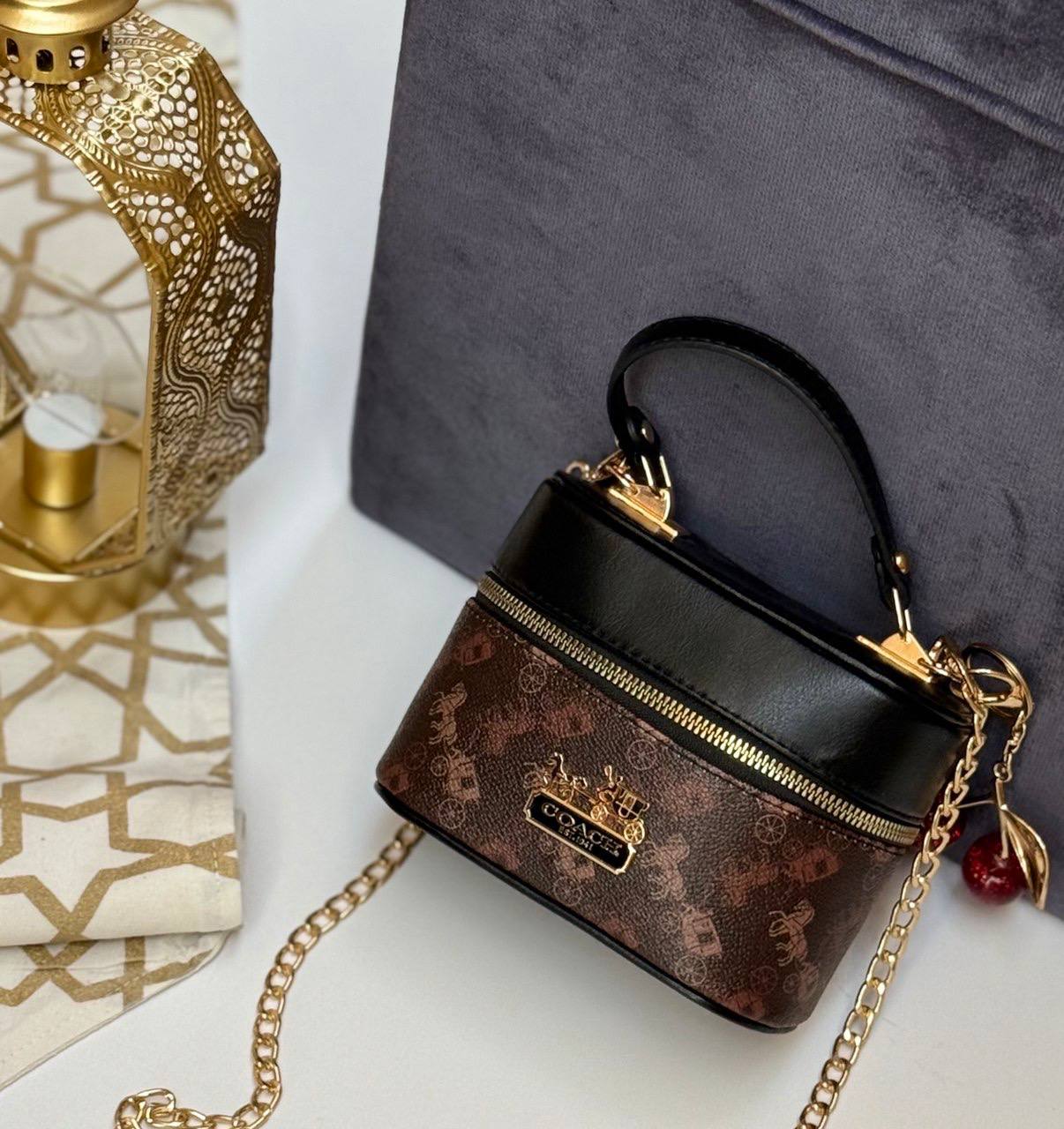 Coach Chained Vanity Bag with an extra cherry chains