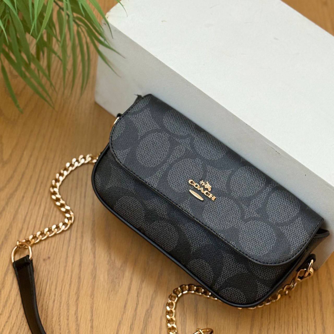 Coach Flap Chain Bag