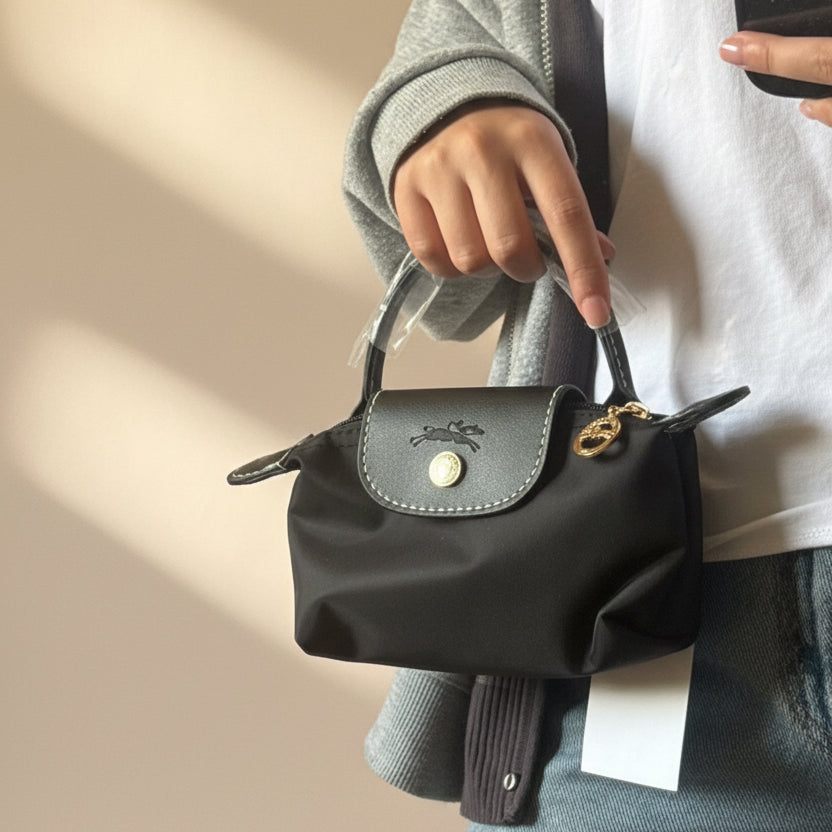 Mini Longchamp