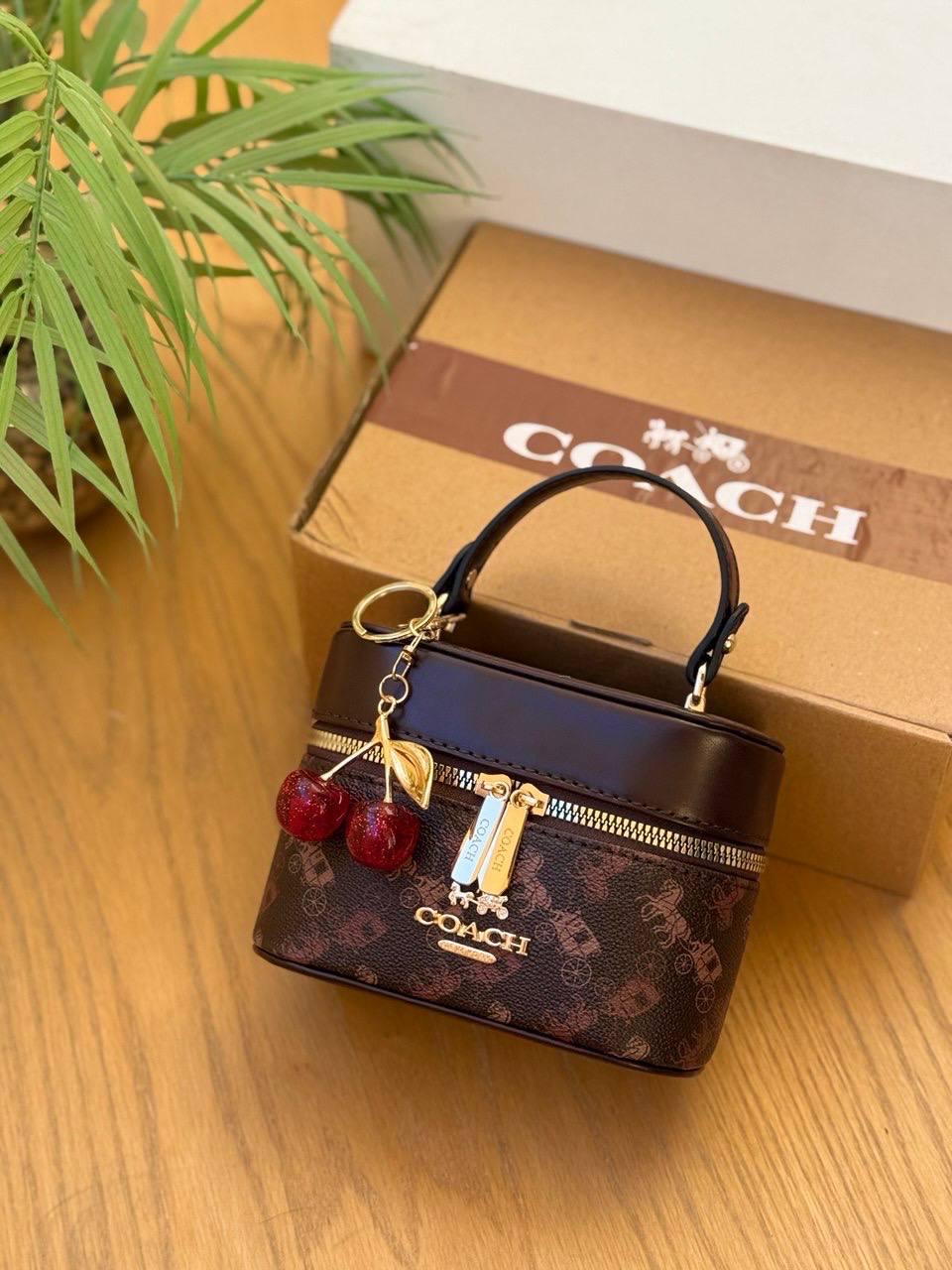 Coach Chained Vanity Bag with an extra cherry chains
