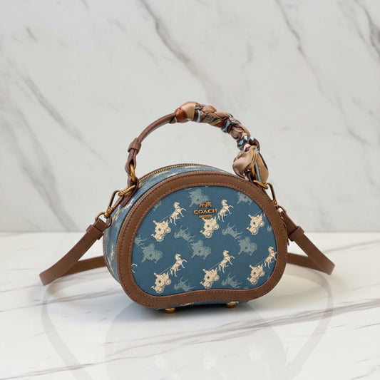 Coach Luxurious HandBag