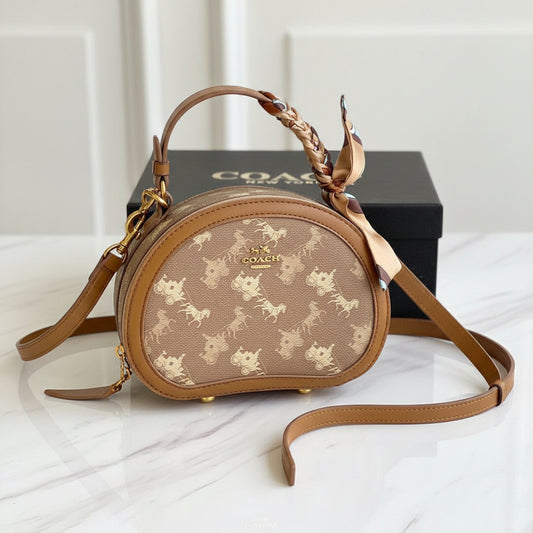 Coach Luxurious HandBag