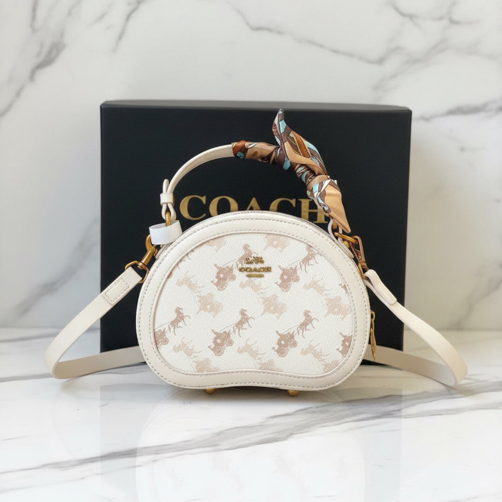 Coach Luxurious HandBag