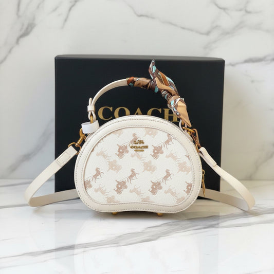 Coach Luxurious HandBag