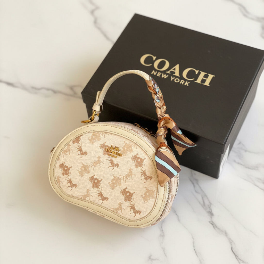 Coach Luxurious HandBag
