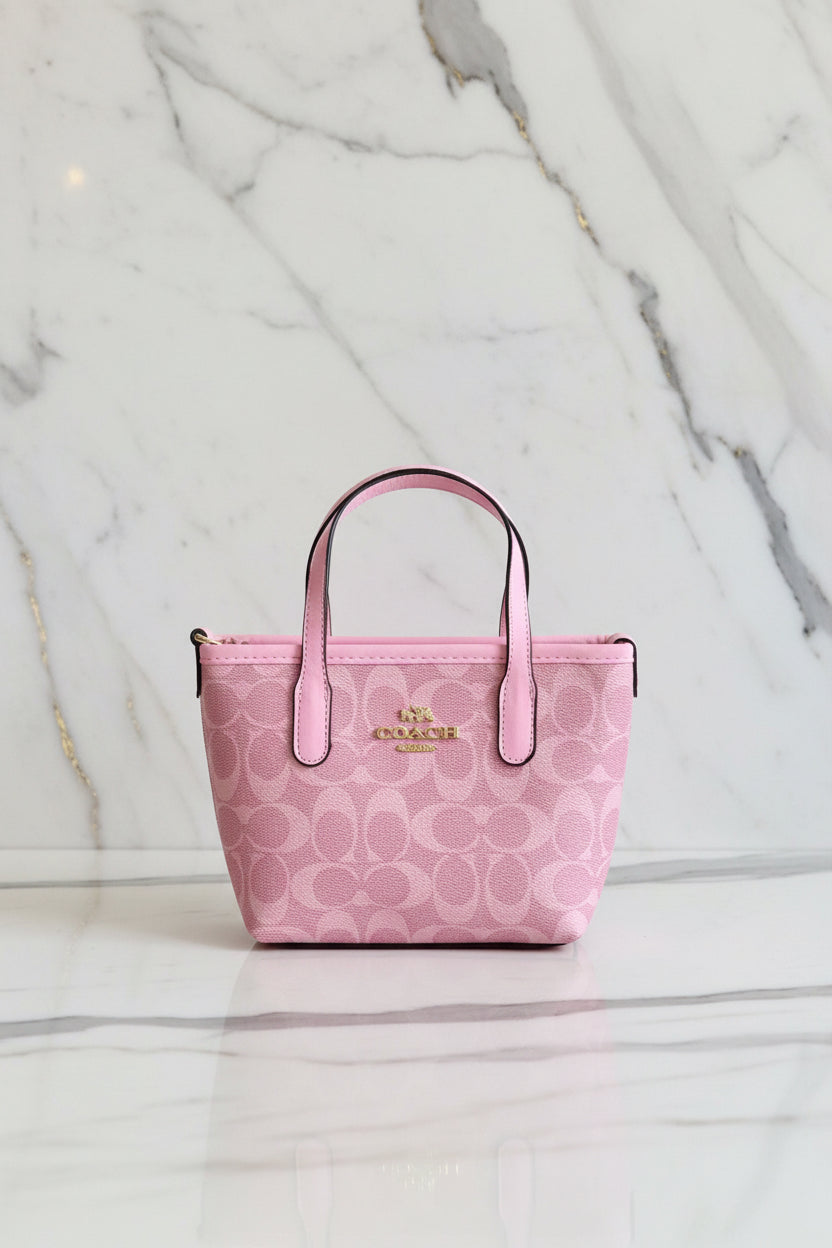 Coach Neverfull Mini Bandoulière Bag