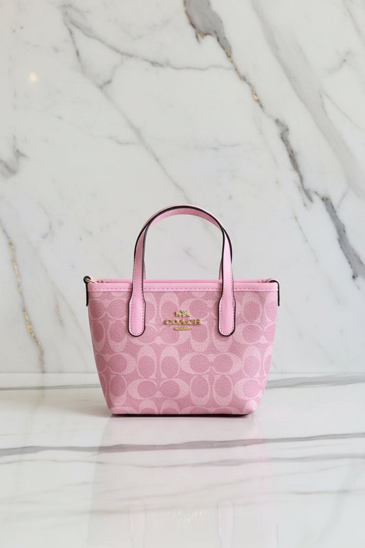 Coach Neverfull Mini Bandoulière Bag