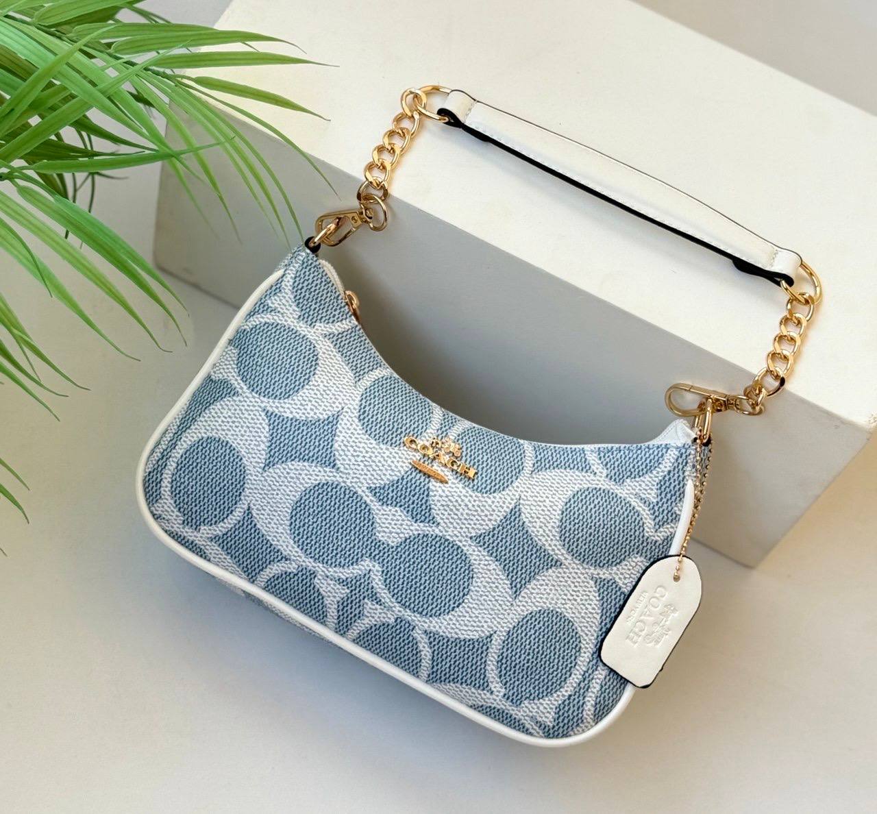 Coach Patterned Chains