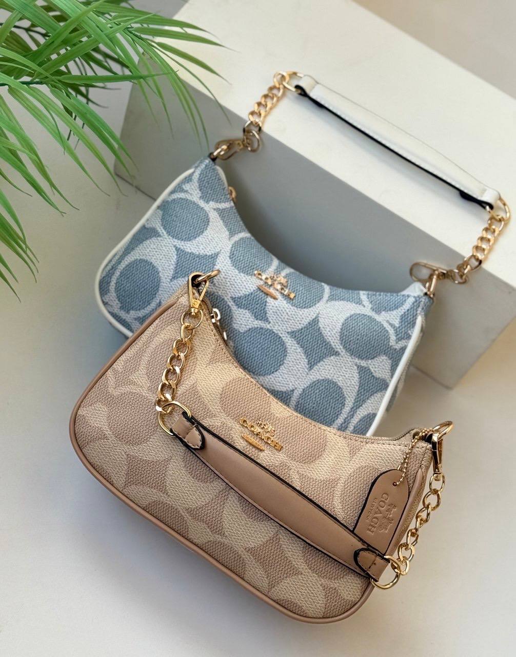Coach Patterned Chains