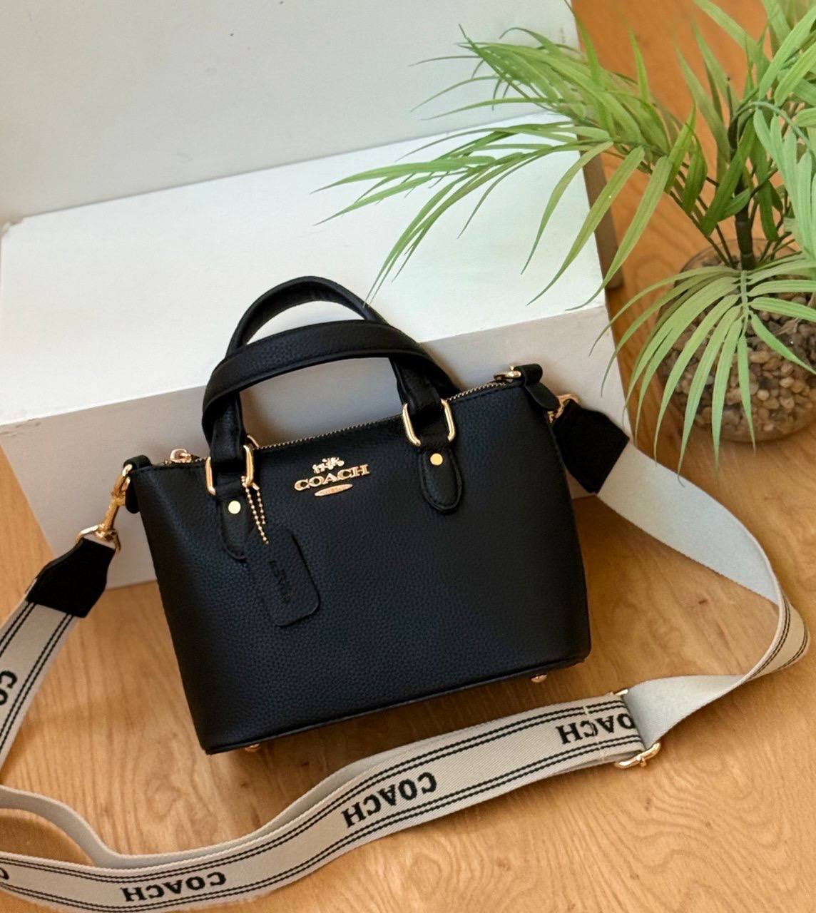 Coach Cross Mini Bag - Plain