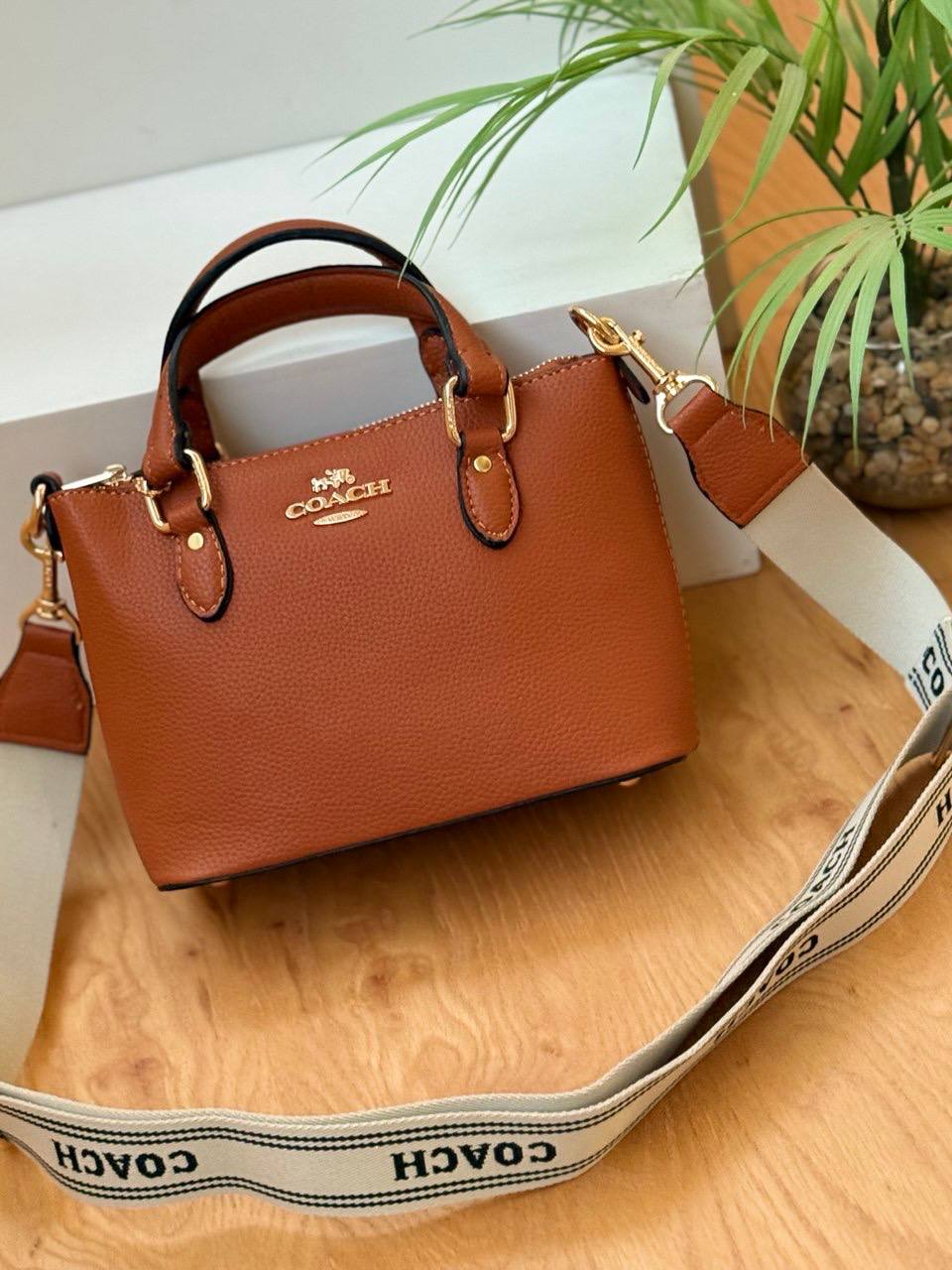 Coach Cross Mini Bag - Plain